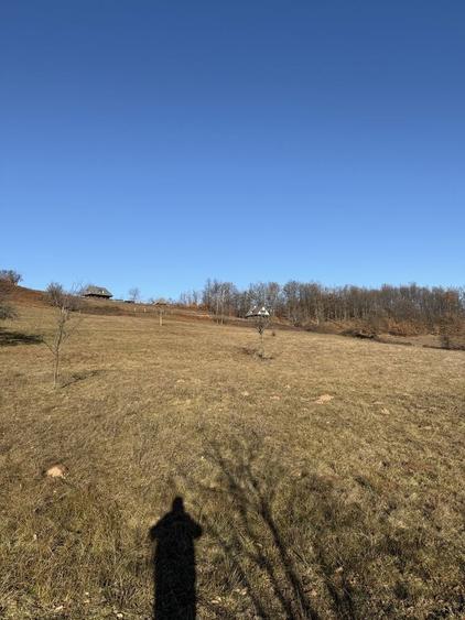 Teren de vanzare 10 000 mp - 7