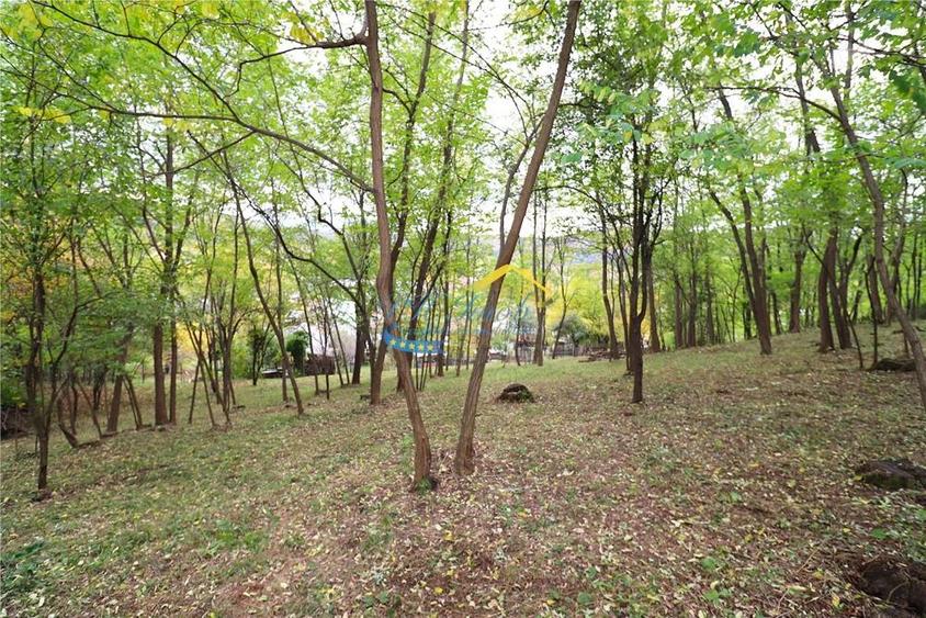 Casa de vanzare Alunis, Prahova - 12