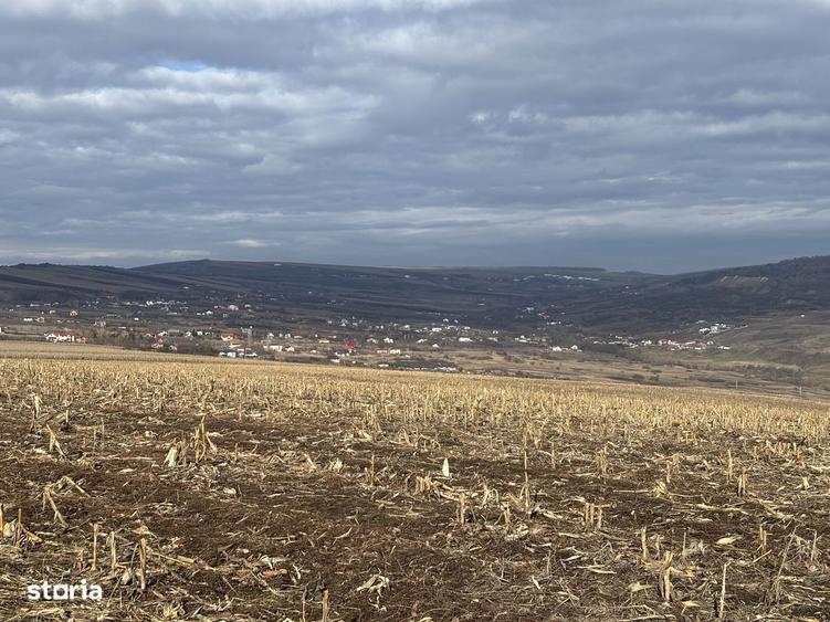 Teren Valea Fanatelor-5 km Auchan - 3