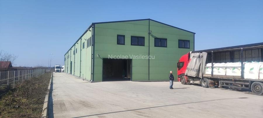 Hala zona de nord Buftea