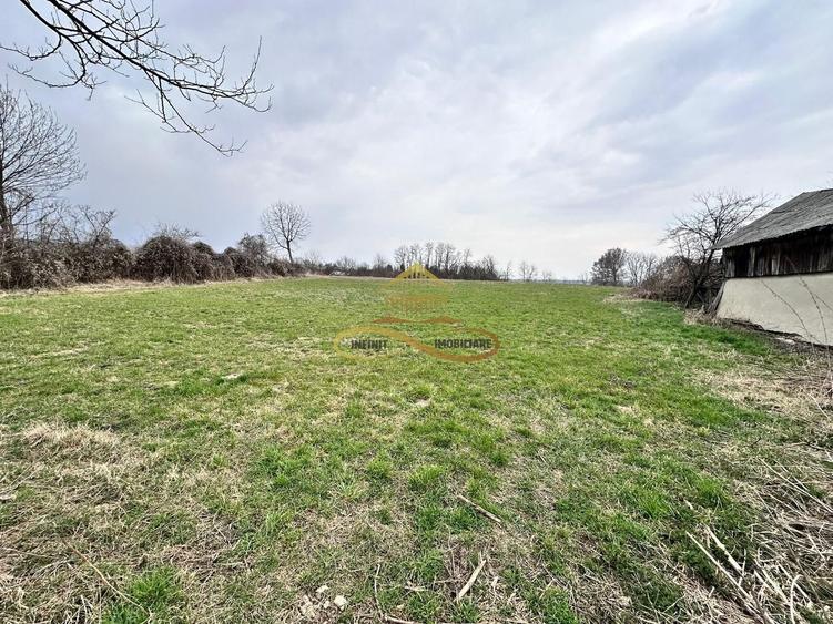 Teren de vanzare Blagesti Bacau - 5