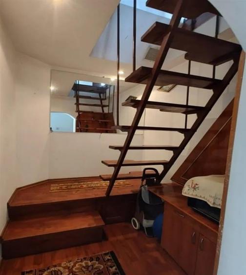 Casa P+M cu teren generos si loturi suplimentare in Baia de Cris - 12