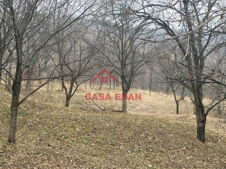 Teren intravilan in Breaza,1358 mp, 40.000e - 4