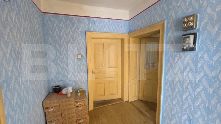 Casa cu teren 32 ari Viile Tecii, la 30 km de Bistri?a - 13