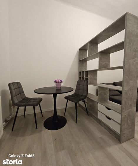 Apartament cu 1 camera, curte proprie separata Ultracentral Oradea - 12