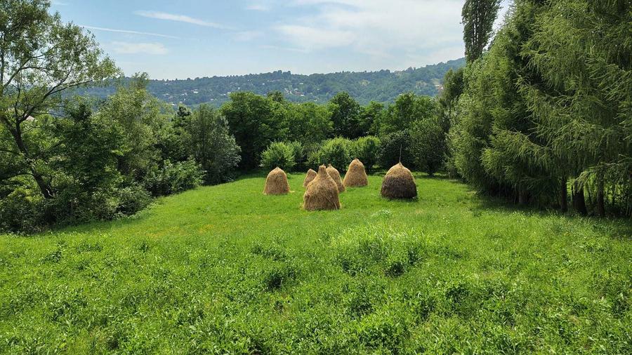 Vanzare 3159 mp TEREN INTRAVILAN Vatra Sat, oras Comarnic 40Euro/mp - 4