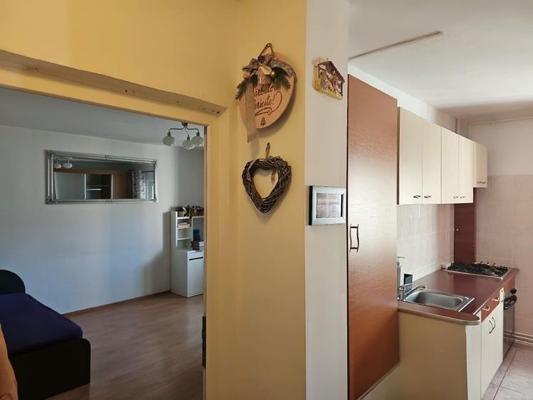 Garsoniera de inchiriat 45 mp pe Paraului 5 - 1