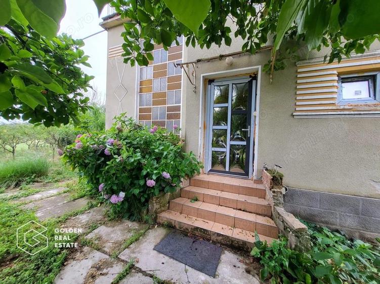 Casa cu D+P+E, 3500 mp teren, zona centrala, Paulis - 4