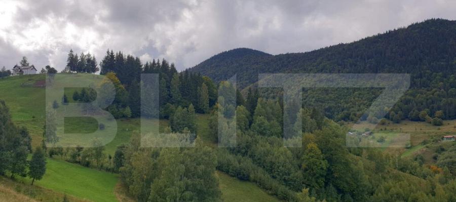 Teren 13.570 mp, Moieciu Pestera - 15