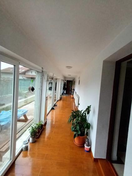 Tancabesti, Snagov, Ilfov - 10