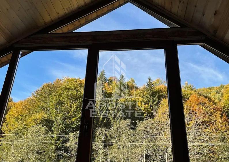 Cabana de inchiriat in Apuseni, Ciubar, Fara vecini, Fois... - 17
