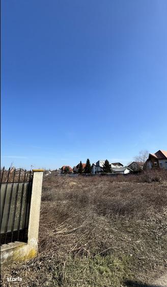 1000mp in Padurea Baneasa (Drumul Muntele Gaina) - direct proprietar - 5