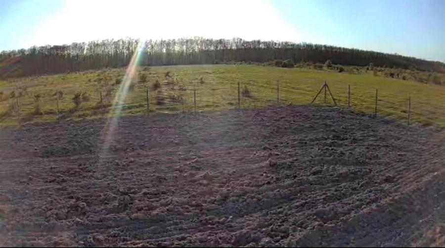 Teren Intravilan de vanzare  Pausa, Bihor ,14 km de Oradea - 1