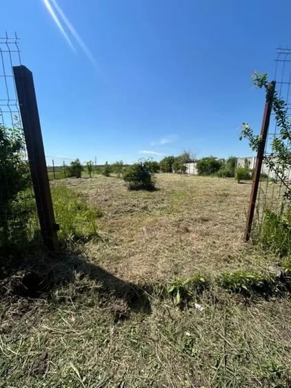 Teren in Nanov Lang Bazinul De Apa Han 1200mp - 4