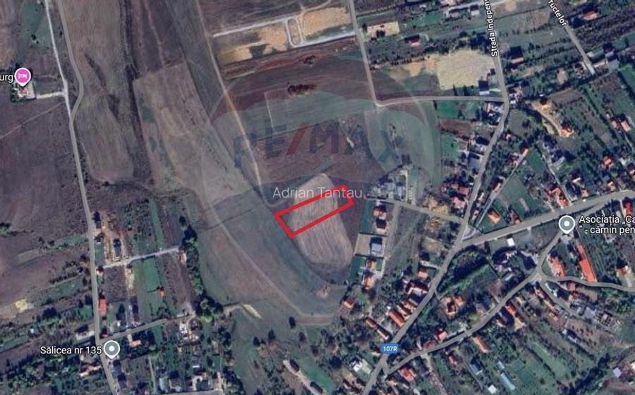 Teren intravilan de vanzare in Salicea, 3000 MP