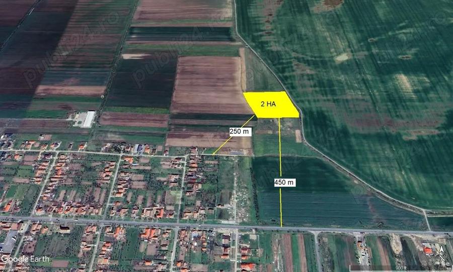 2 ha teren de vanzare in Vladimirescu- Cicir - 6