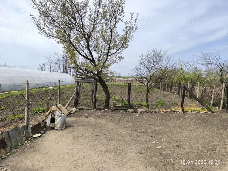 Vand teren 1900mp cu casa batraneasca locuibila - 1