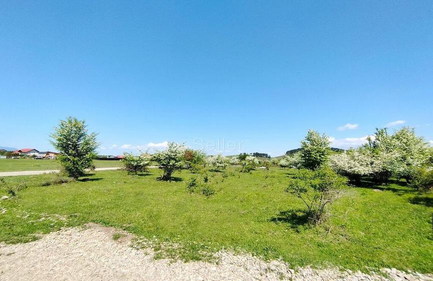 Teren Intravilan - 3