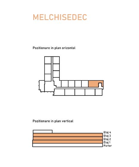 Apartament 3 Camere Melchisedec Residence - 2