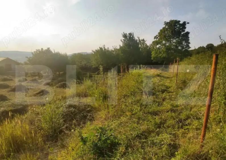 Teren intravilan de 15 ari Valea Jelnei, str. Campului - 1