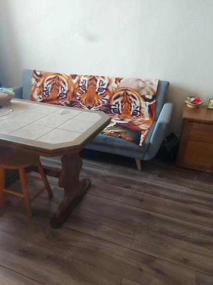 Casa tip cabana cu livada jud Alba - 5