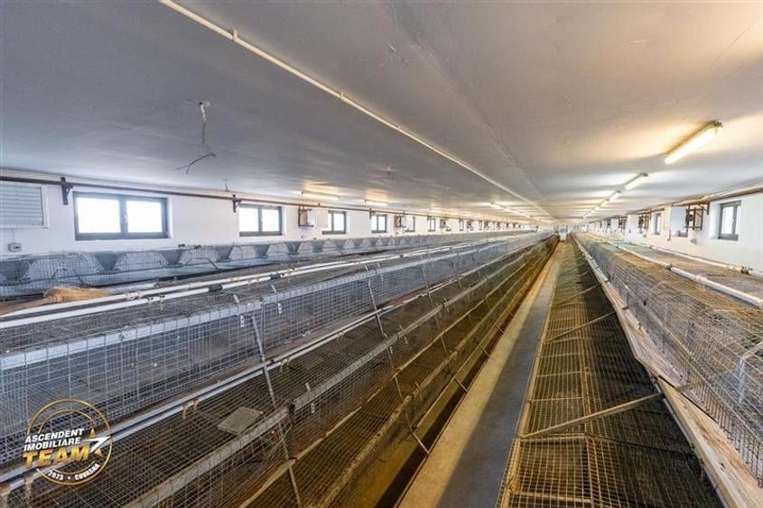 FILM! Ferma de iepuri,Malnas,Covasna: domeniu:comercial/industrial,asset UE - 9