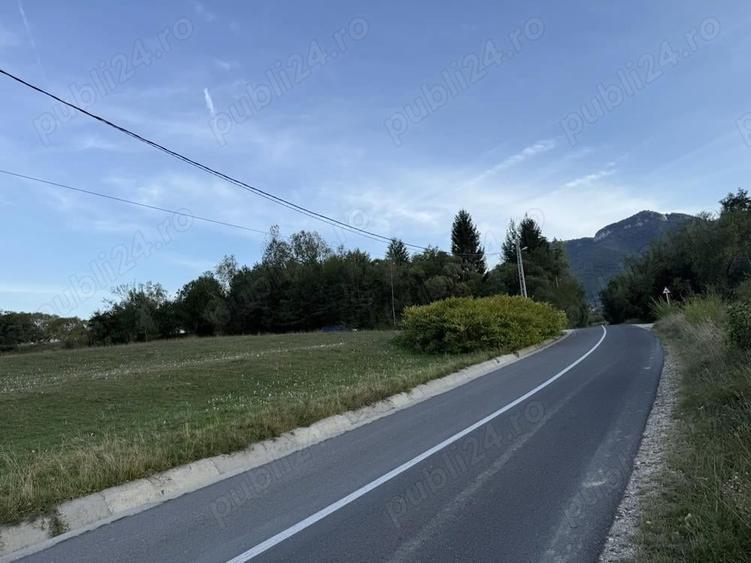 Teren intravilan 500 sau 1000 mp Bran-Tohanita la dum asfaltat - 8