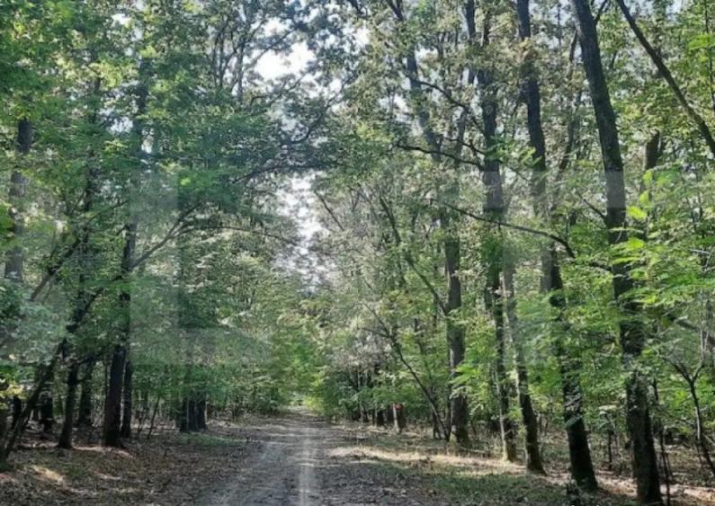 Casa/Vila de vanzare / posibil Pensiune ,cu view ?i padur - 3