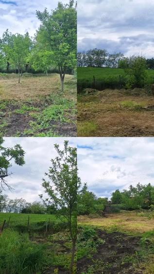 Casa de vanzare cu gradina Iclandu Mare - 1