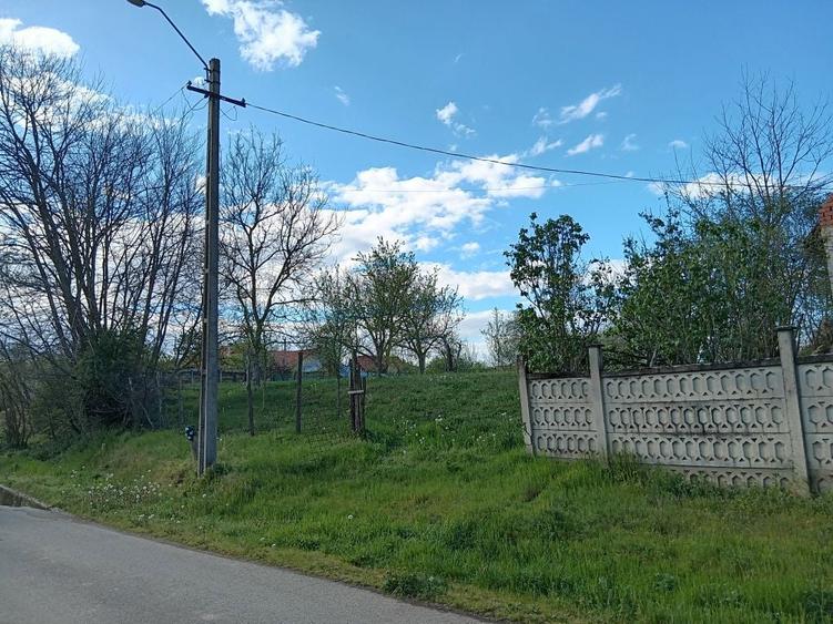 Vand Teren Intravilan 2877 mp Surducu Mic TM - 5