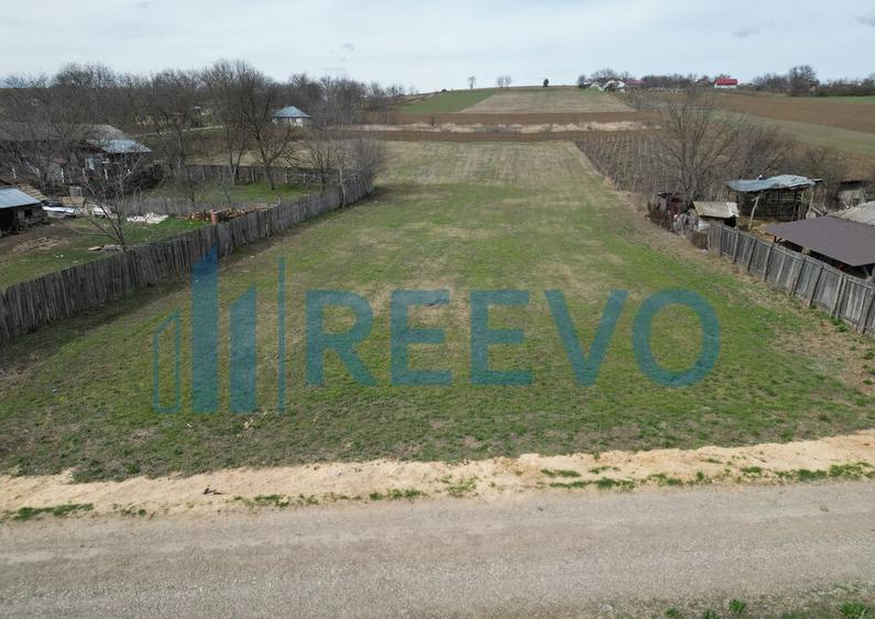 Teren de vanzare, Sat Bazga, Com. Horge?ti, Bacau - 2