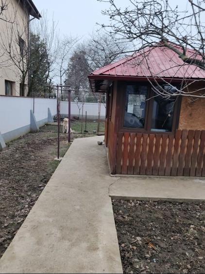 Casă cu teren și 4 camere – confort și intimitate - Popesti-Leordeni - 8