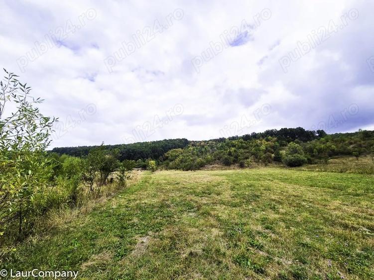 Teren 1,4 hectare Draganu Arges - 3