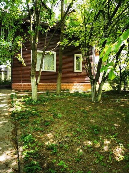 Com. Ileana, 4000 mp. teren intravilan si casa de vacanta cu deschidere la Balta - 8