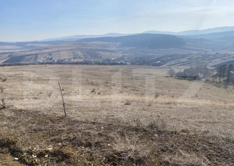 Teren extravilan in suprafata de 140551 mp in loc. Recea - 2