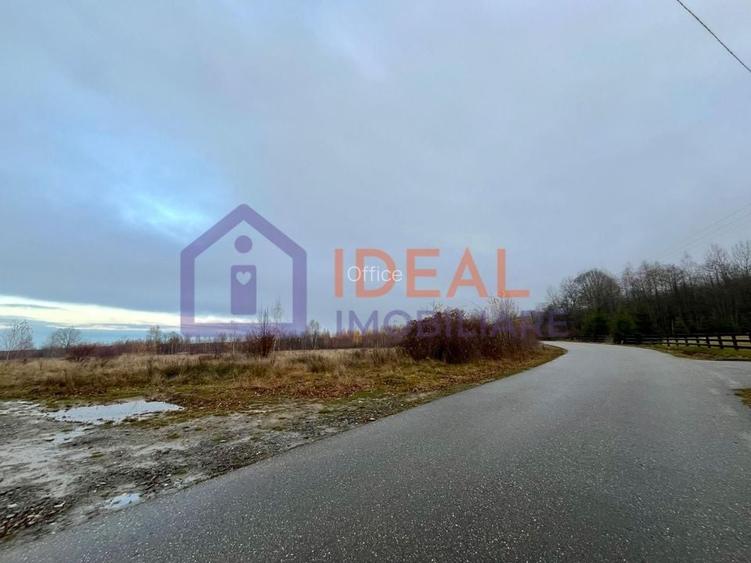 Teren extravilan 6.500 mp – două căi de acces, Cârțișoara