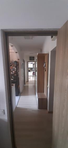 Vânzare ap 2 canere - 2