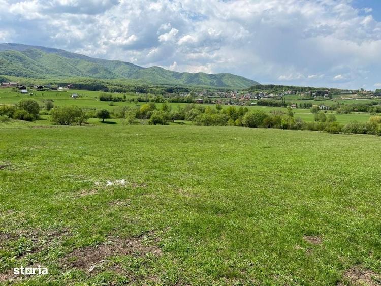 Spațiu comercial, în Sadu