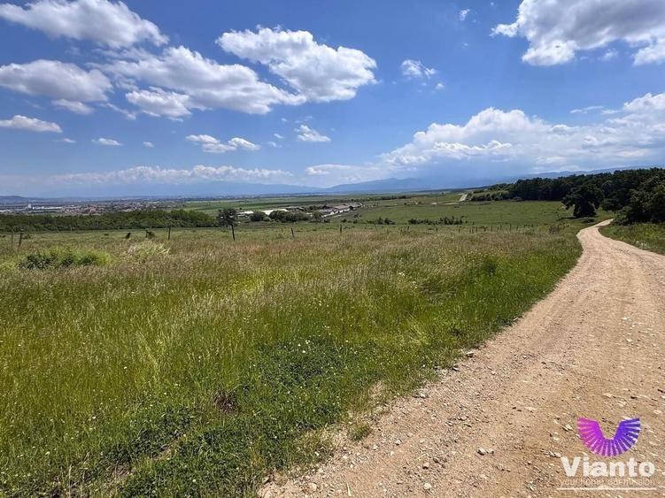Teren Construcții intravilan de 582 mp, în Șura Mică