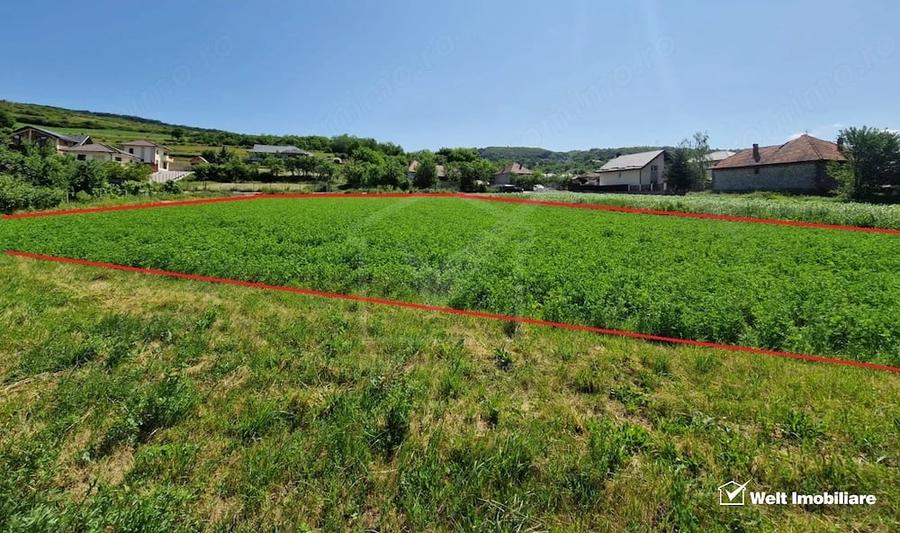 Teren intravilan 2000 mp Popesti (Baciu) Ideal pentru casa, gradina ?i livada - 6