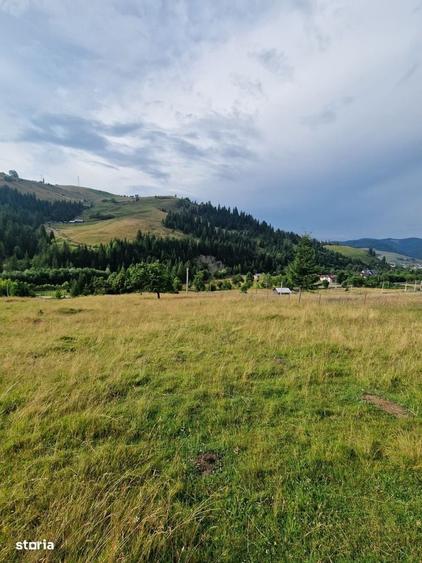 Vindem teren cu peisaj superb in Bucovina - 5
