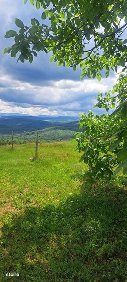 Teren de 3690 mp, în Șuncuiuș