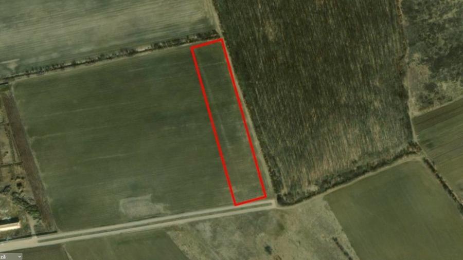 REL4000892 Corbeana - Ostratu 15200 mp langa padure - 7