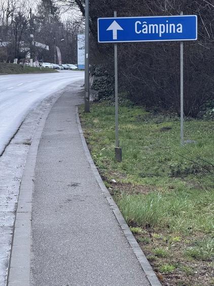 Schimb teren in Campina cu autoturism - 1