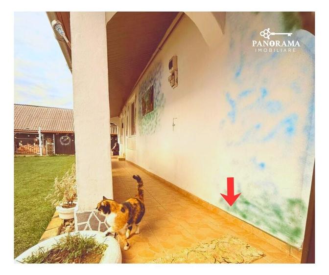 Casă de vânzare în Laslea-gospodărie autentică în inima Transilvaniei - 3