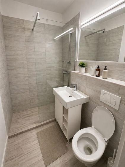 Apartament 2 camere de inchiriat Zona centrala Popa Sapca, Timisoara - 4