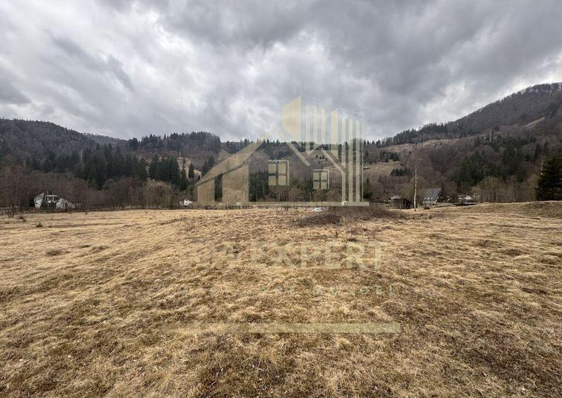 TEREN INTRAVILAN 500 MP SATIC- RUCAR - 7