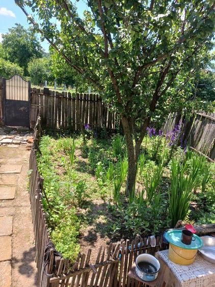 Casa batraneasca de vanzare - 6