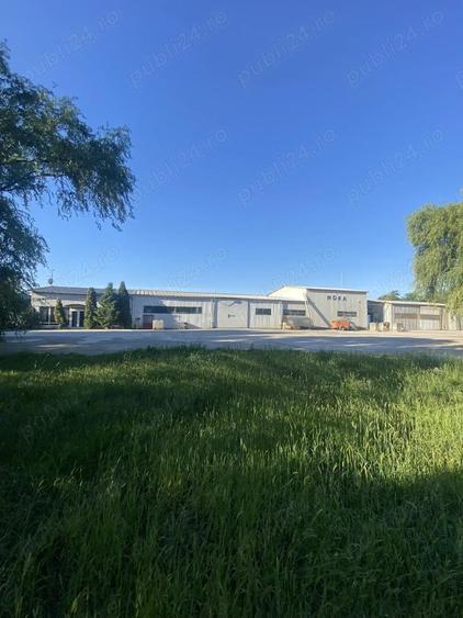 2 Hale cu birouri, vestiare, sala de mese si grupuri sanitare, teren 8868mp, E60, Tileagd BH, - 11