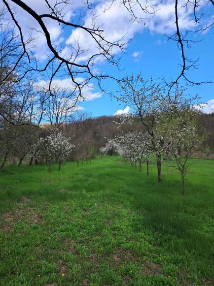 Vand Casa Complet Mobilata cu Teren 3996mp Sat Policiori Judetul Buzau - 7